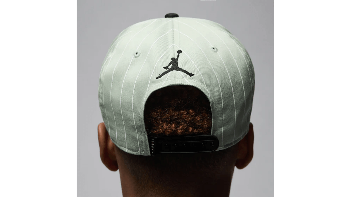 Gorra Jordan FLY Pro MVP