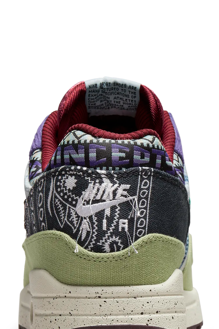 Nike Air Max 1 SP Concepts Mellow