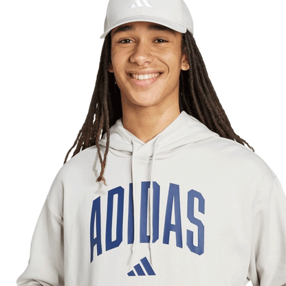 Adidas Collegiate Hoodie "Grey"