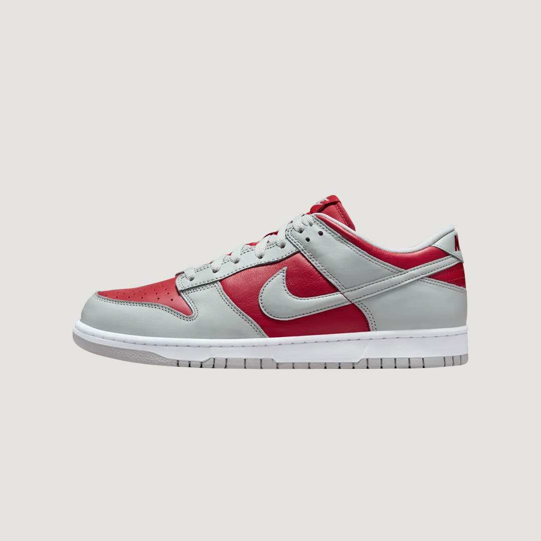 Nike Dunk Low Varsity Red and Silver